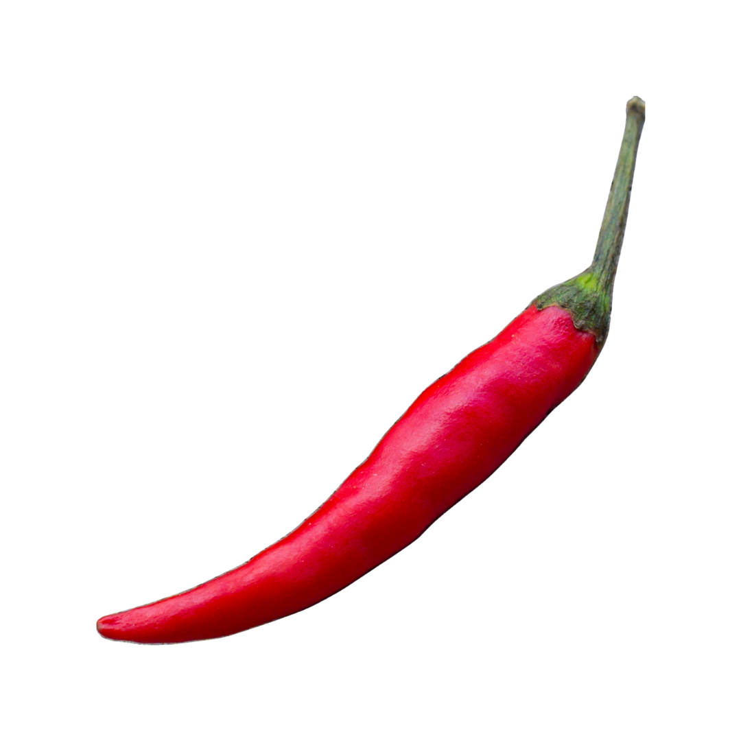 The Perfect Birria in Just One Step – Spicito Bombs